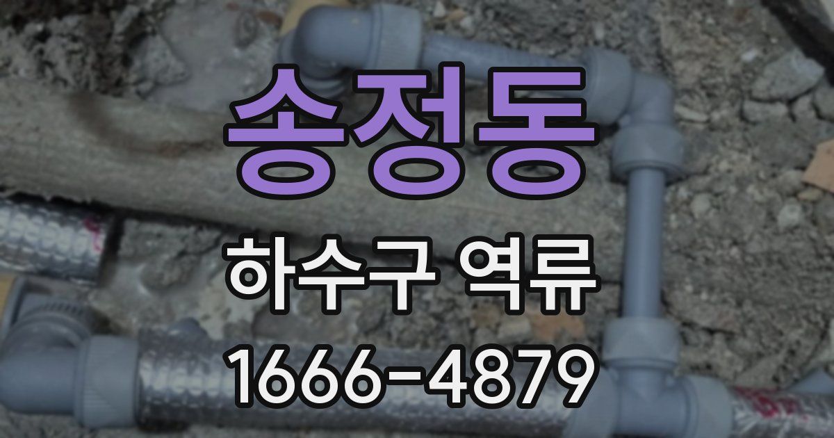 송정동 하수구 역류