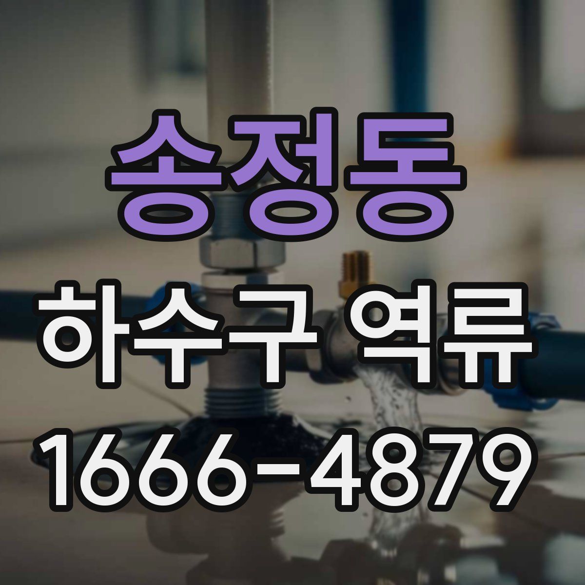 송정동 하수구 역류