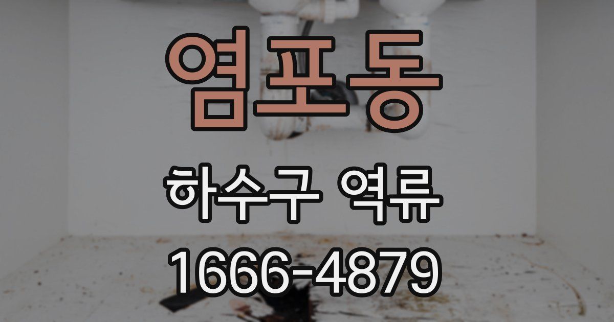 염포동 하수구 역류