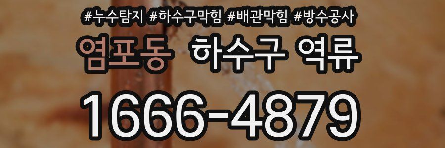 염포동 하수구 역류