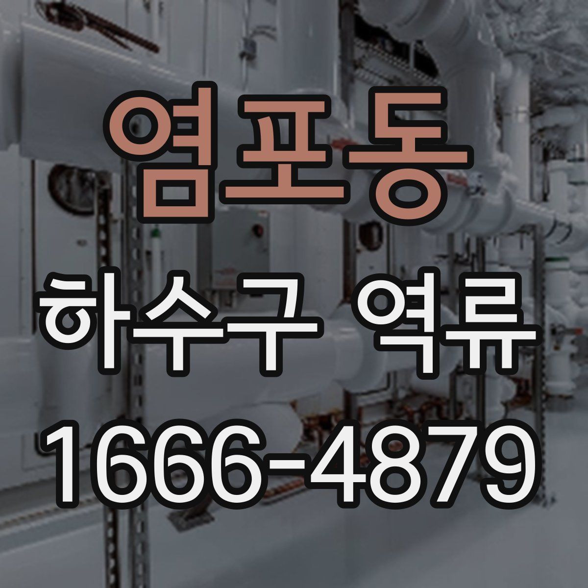 염포동 하수구 역류