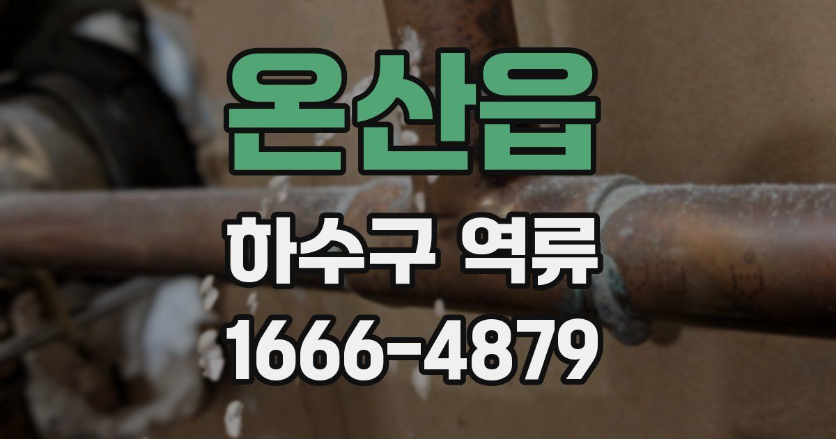 온산읍 하수구 역류