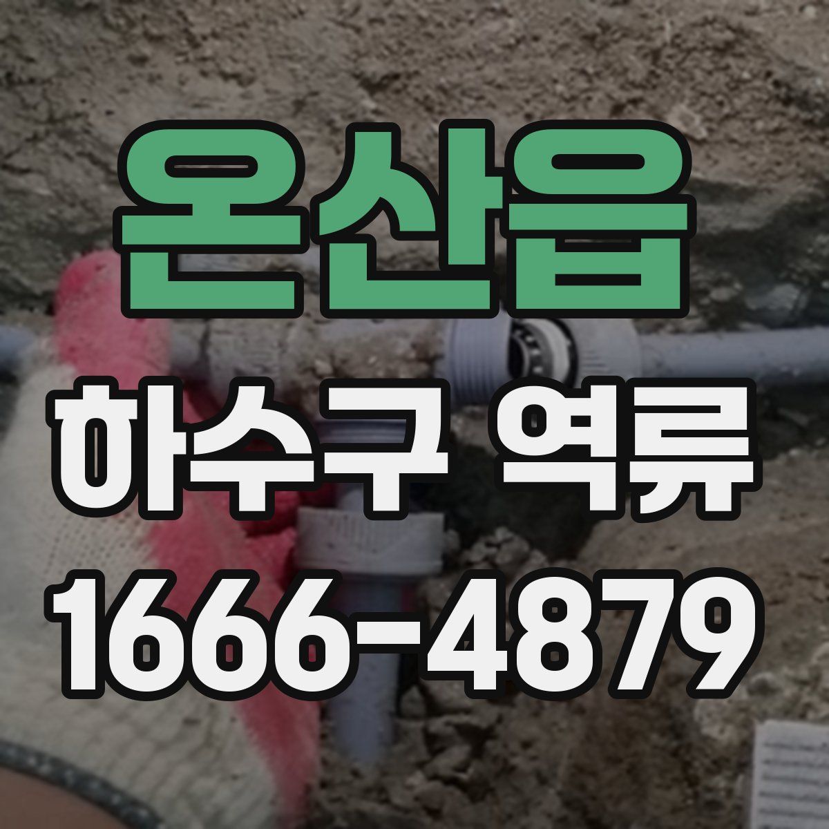 온산읍 하수구 역류