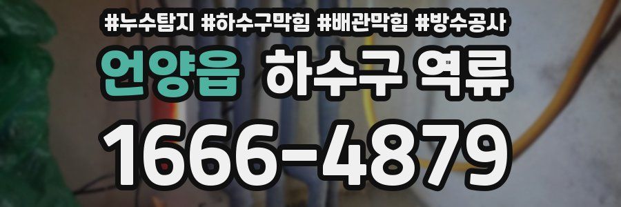 언양읍 하수구 역류