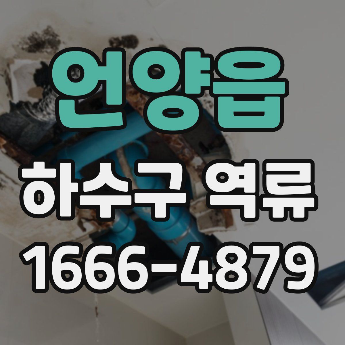 언양읍 하수구 역류
