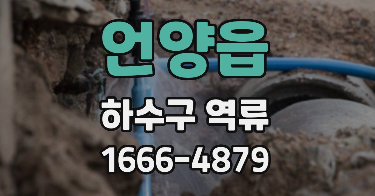 언양읍 하수구 역류