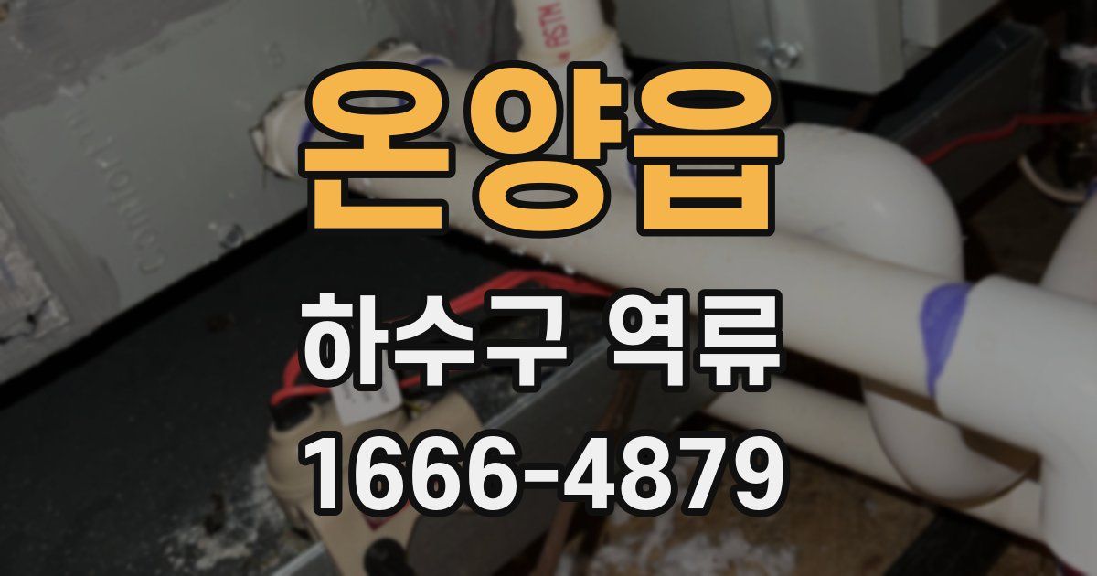 온양읍 하수구 역류