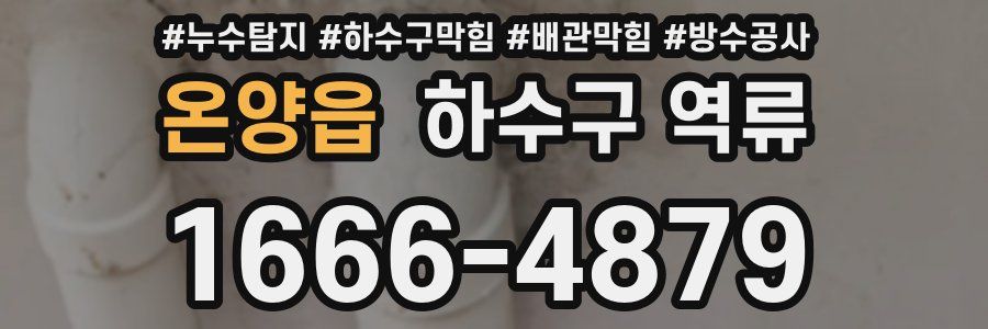 온양읍 하수구 역류