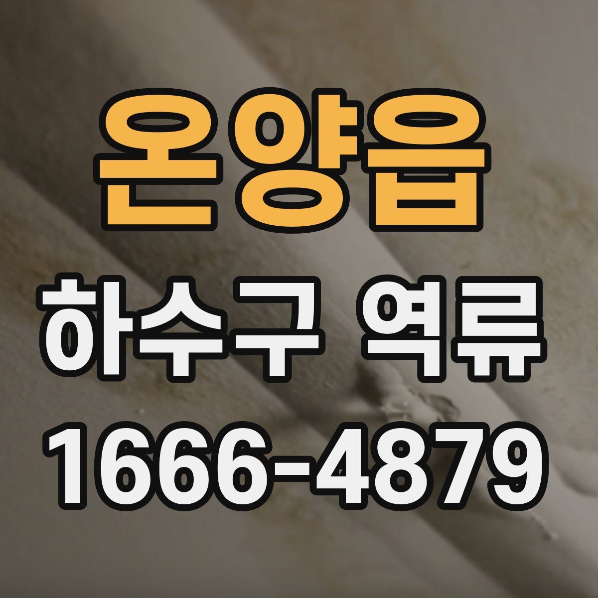 온양읍 하수구 역류