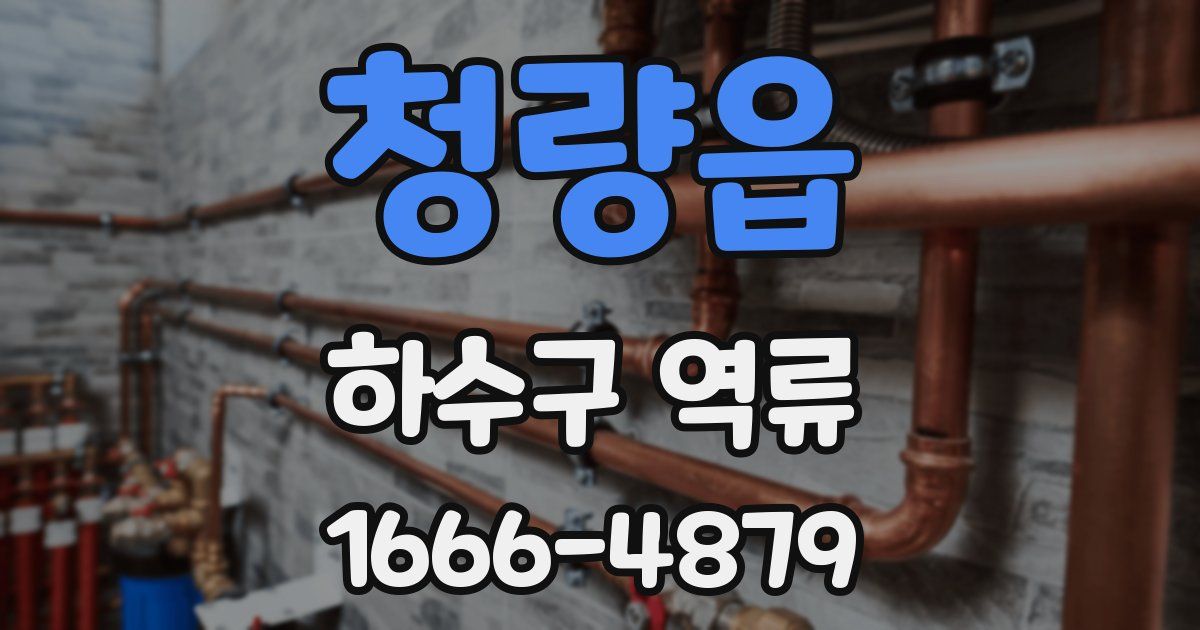 청량읍 하수구 역류