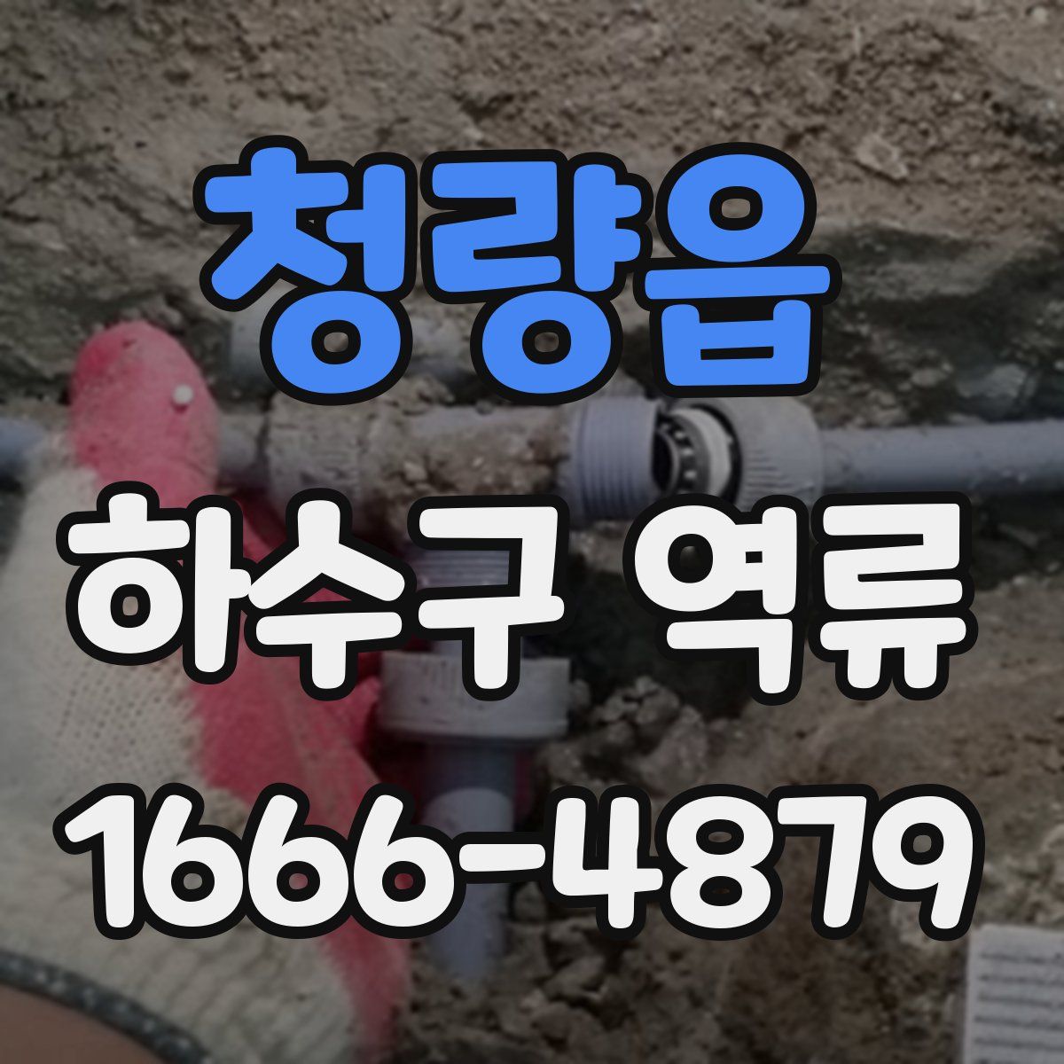 청량읍 하수구 역류