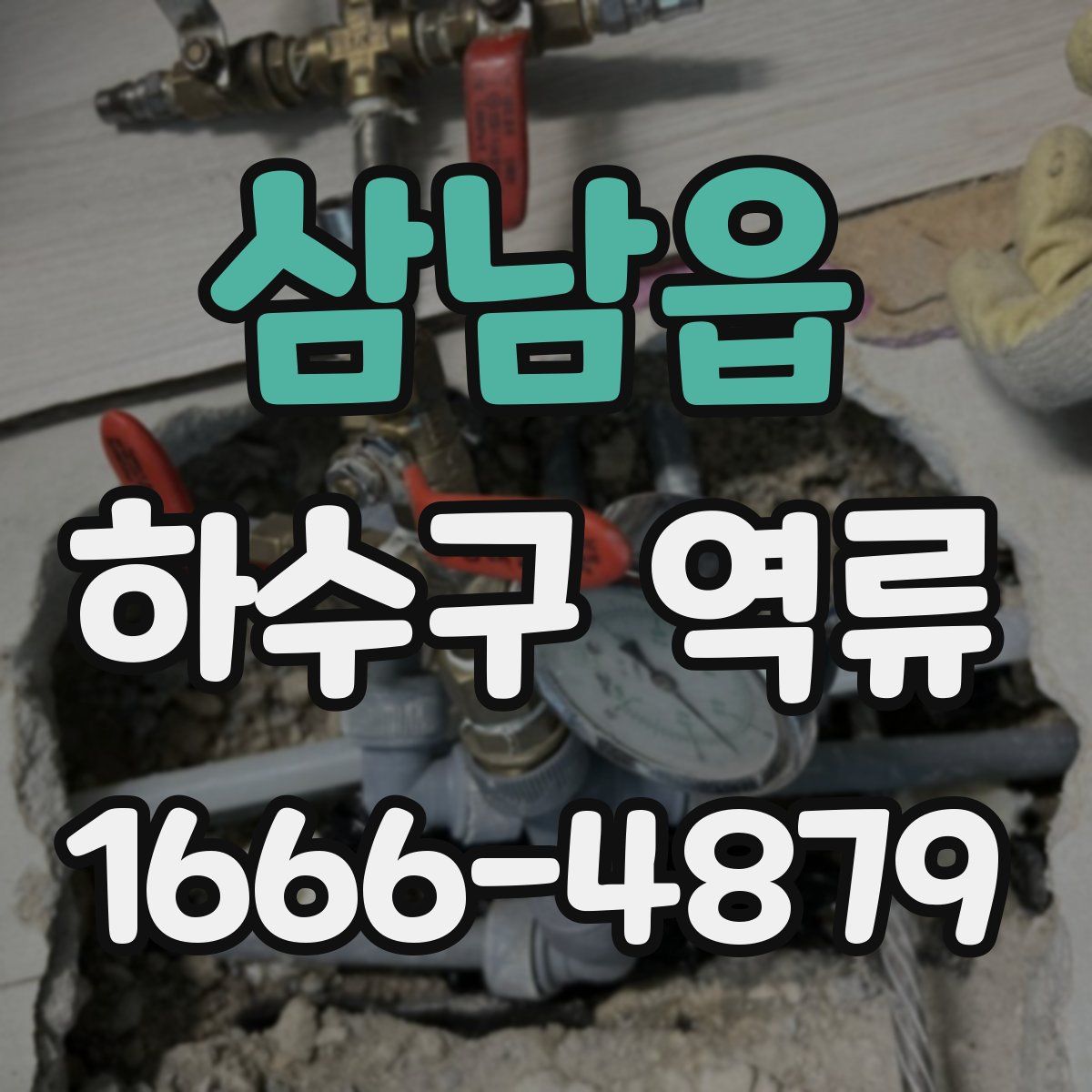 삼남읍 하수구 역류