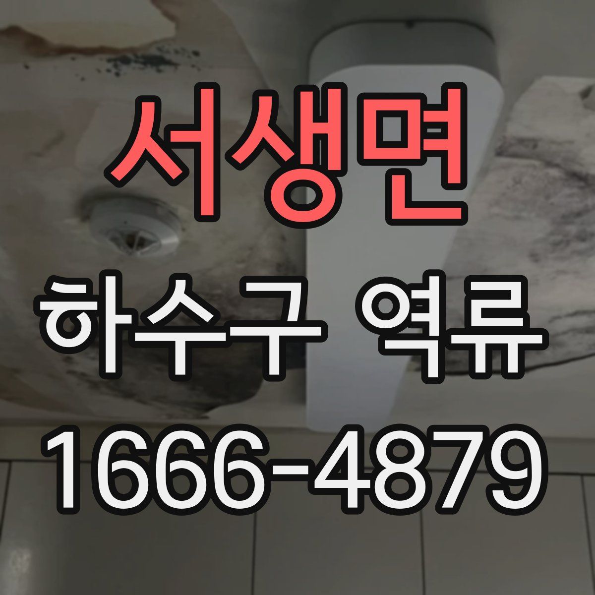 서생면 하수구 역류