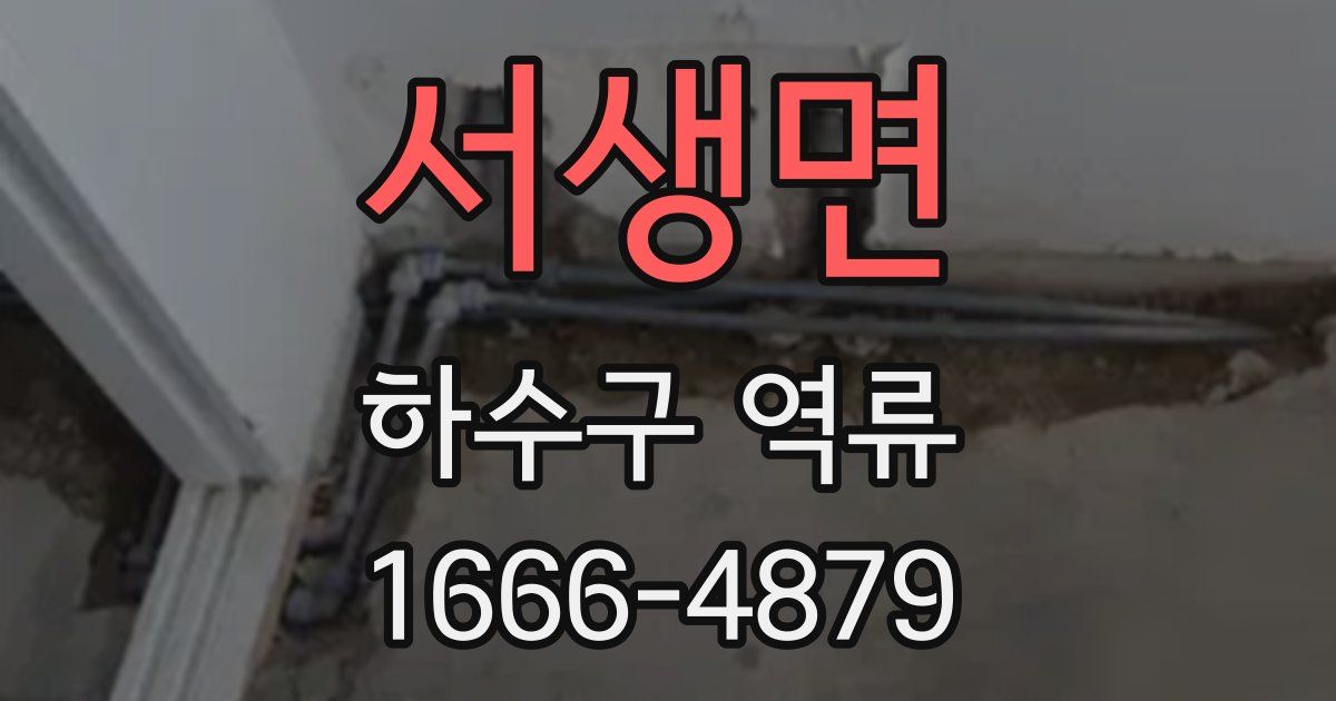 서생면 하수구 역류