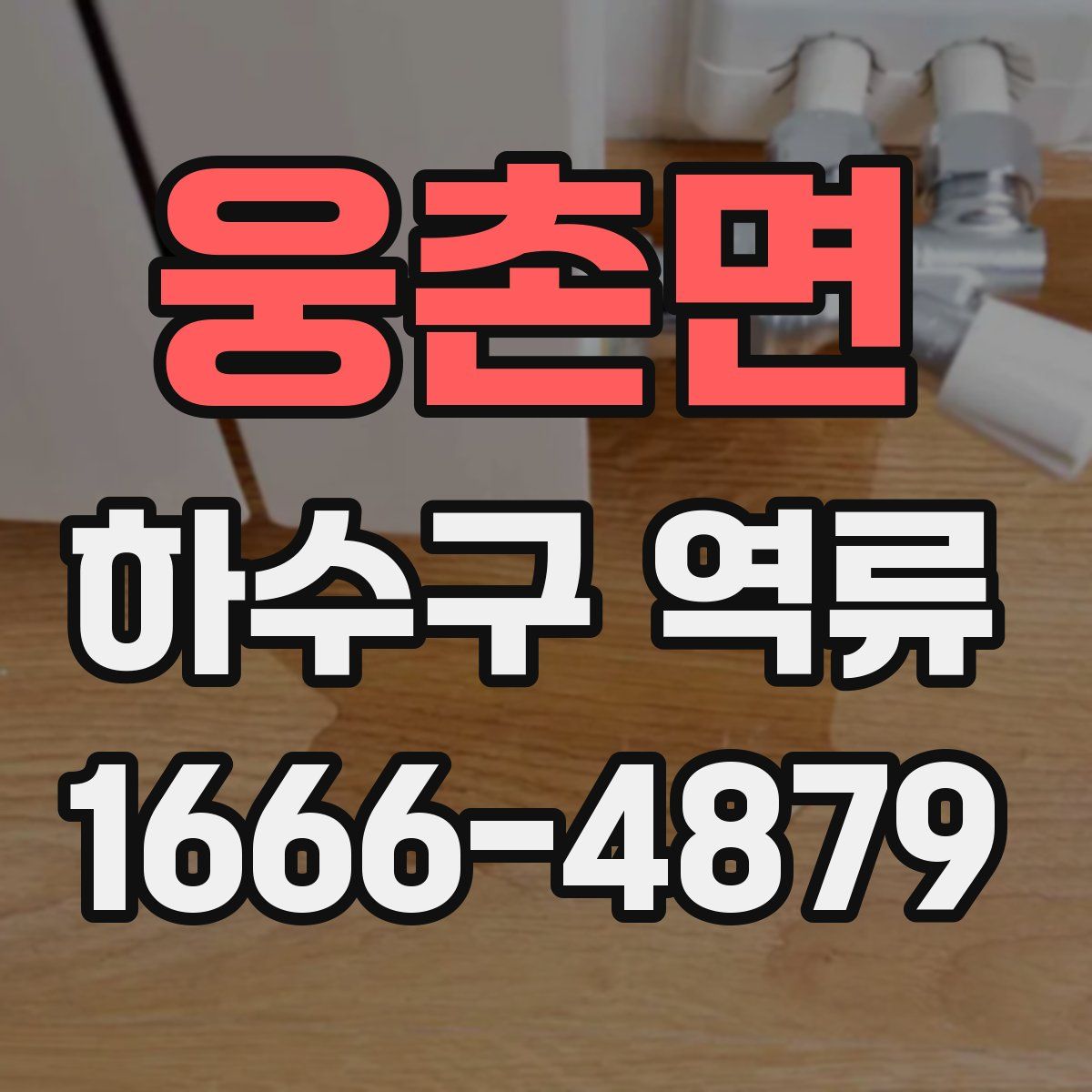 웅촌면 하수구 역류