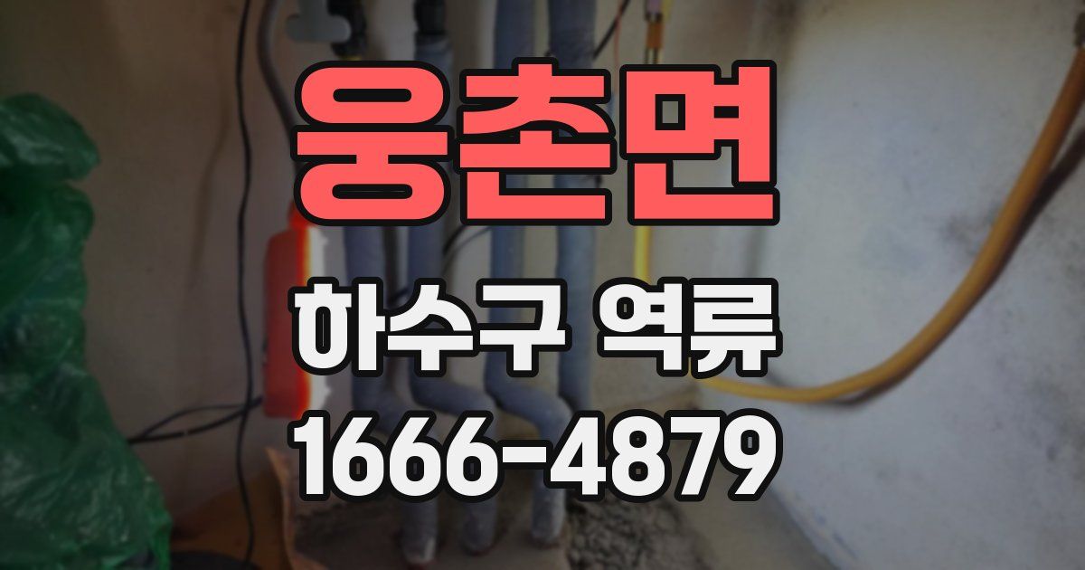 웅촌면 하수구 역류