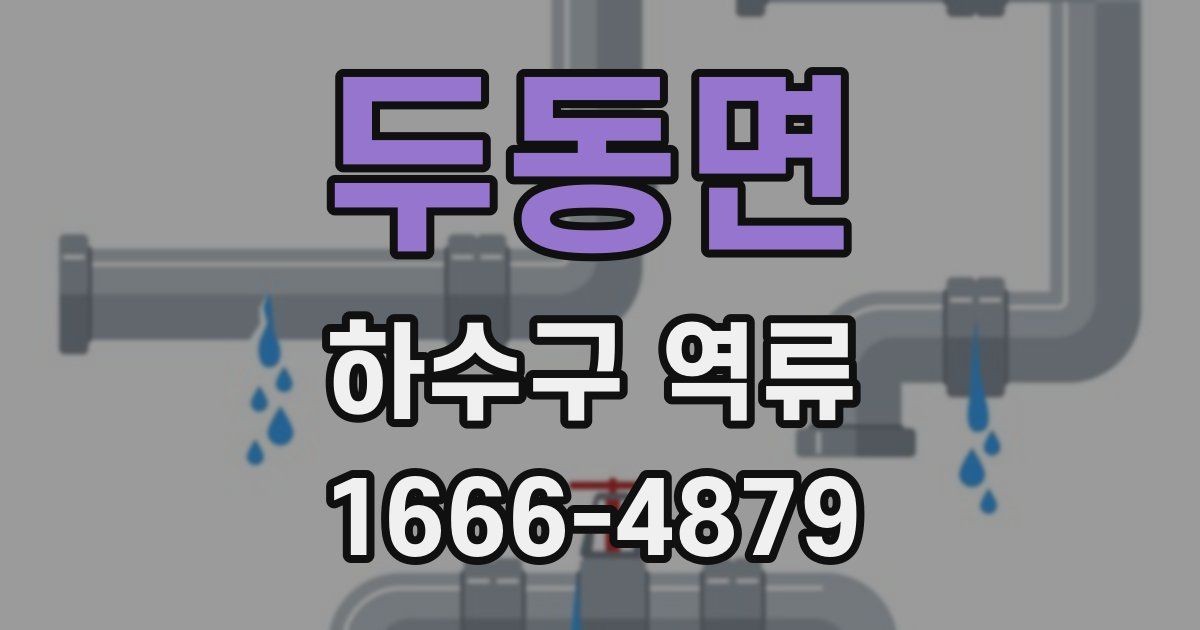두동면 하수구 역류