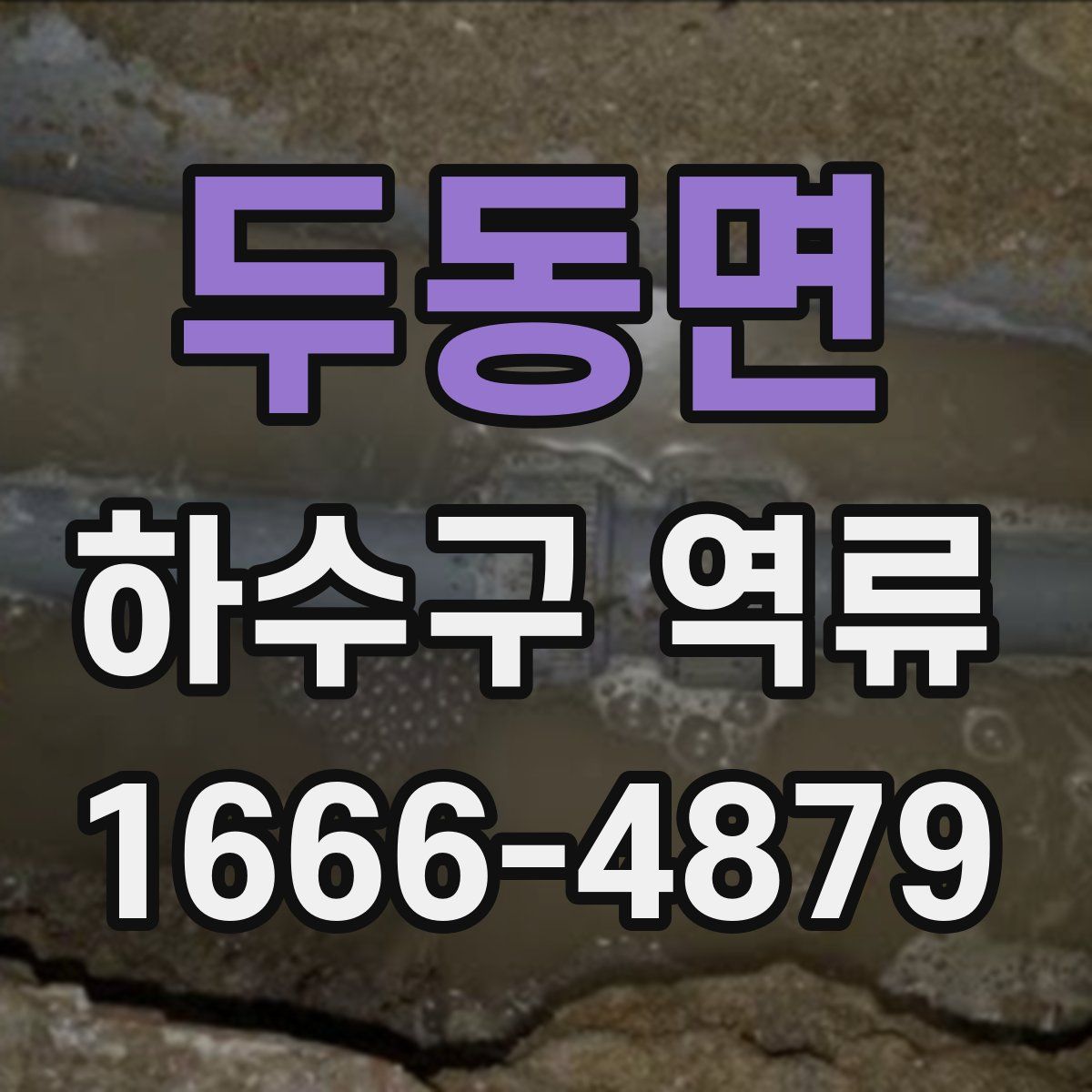 두동면 하수구 역류