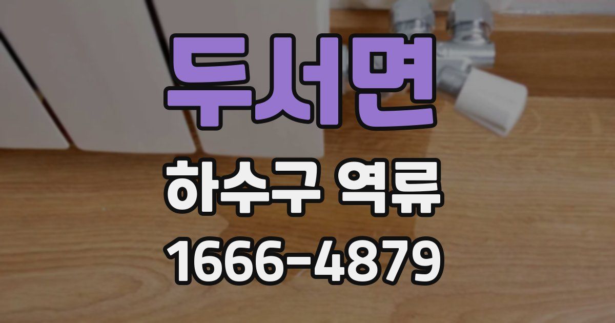 두서면 하수구 역류