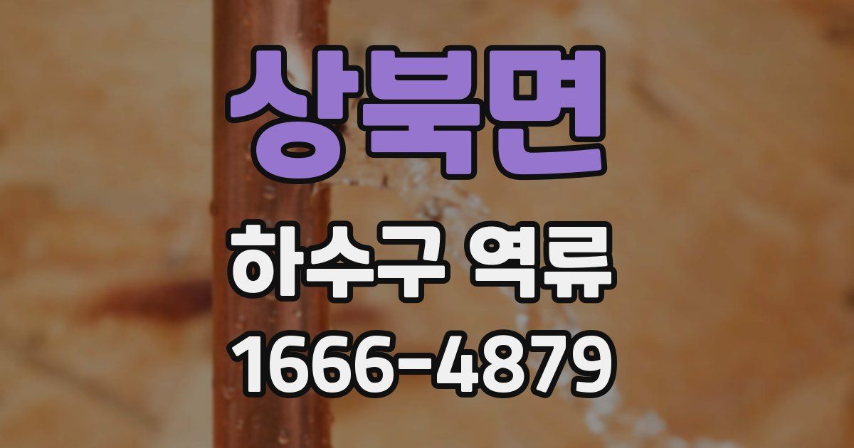 상북면 하수구 역류