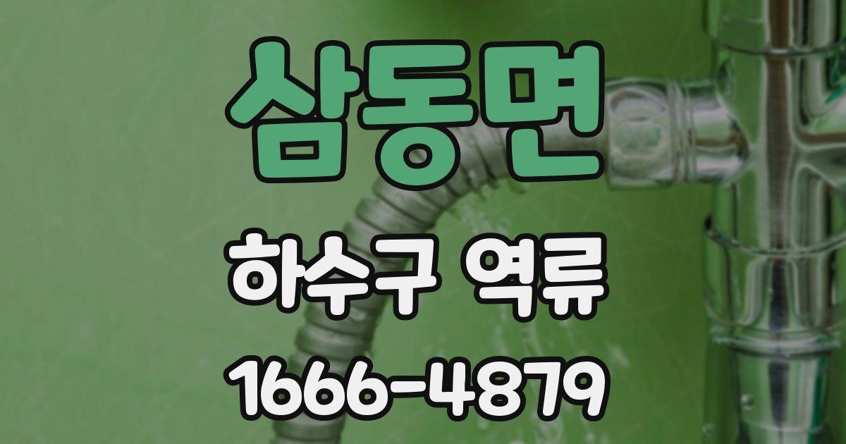삼동면 하수구 역류