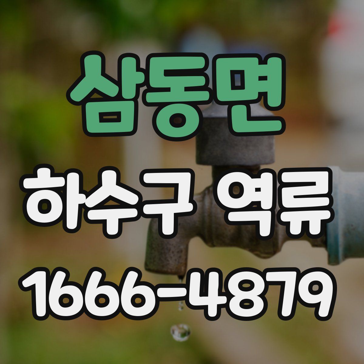삼동면 하수구 역류