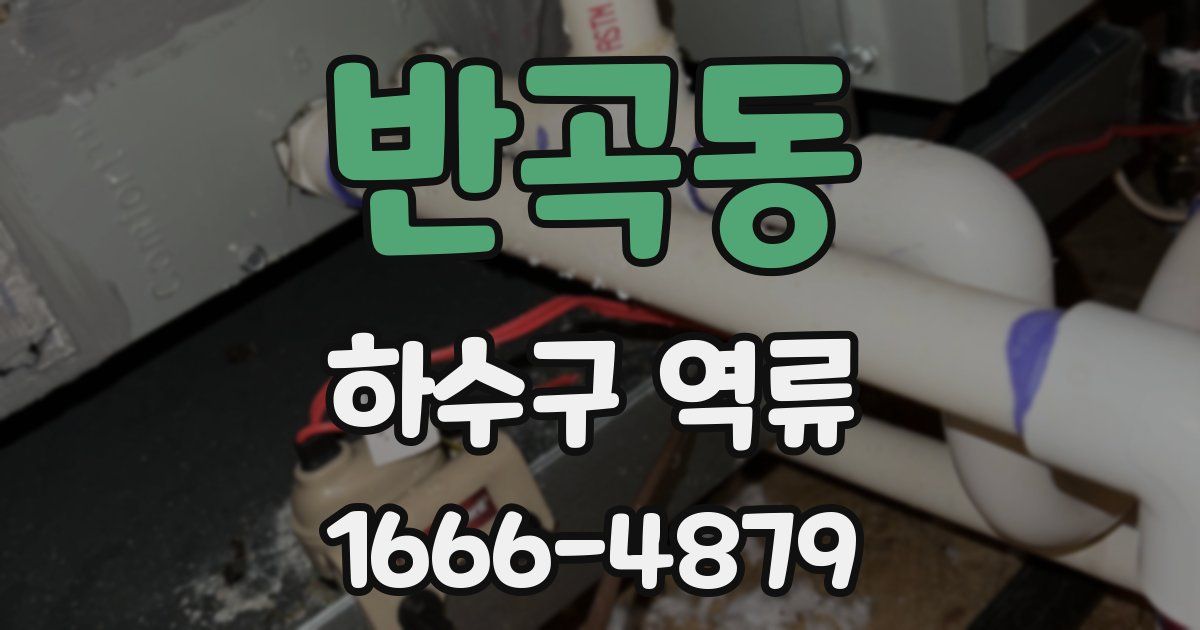 반곡동 하수구 역류