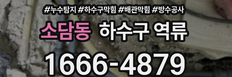 소담동 하수구 역류