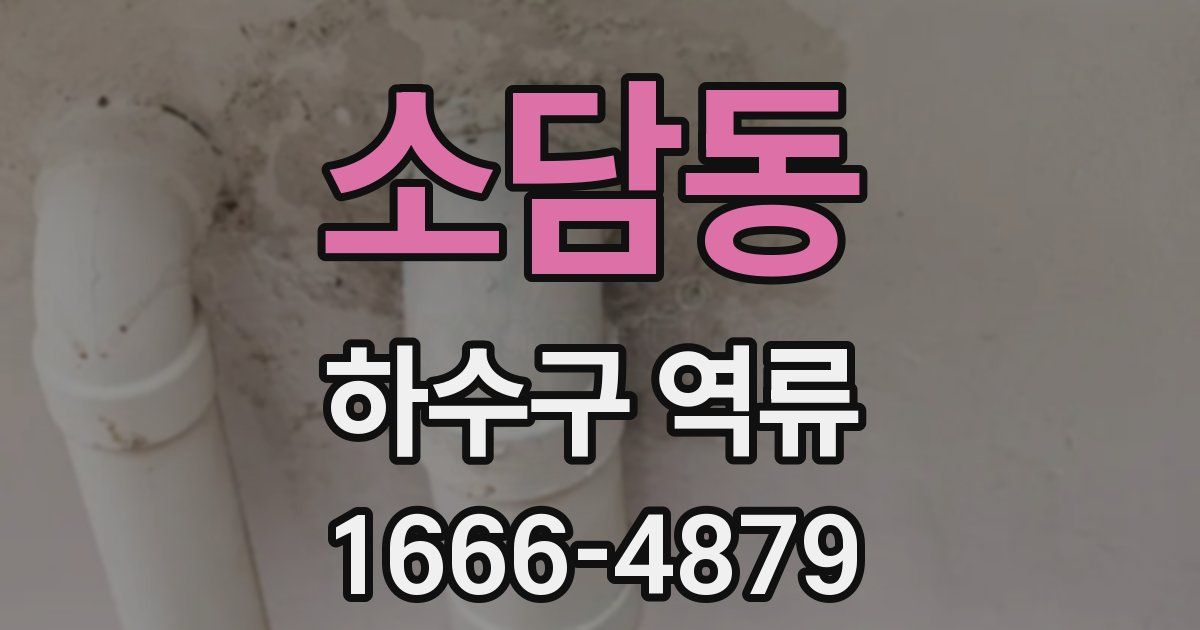 소담동 하수구 역류