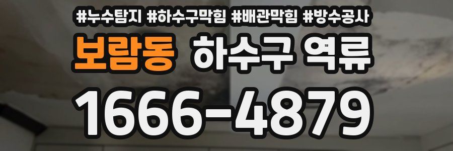 보람동 하수구 역류