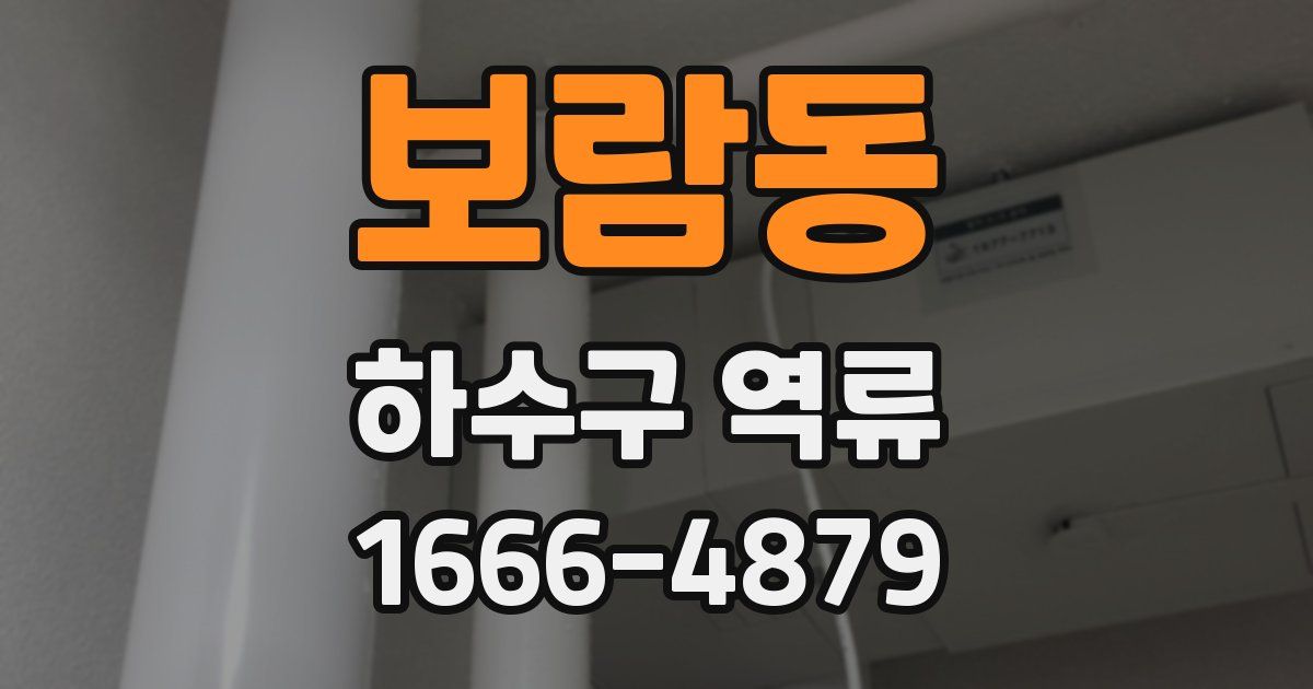 보람동 하수구 역류