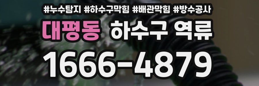 대평동 하수구 역류