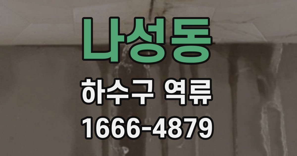 나성동 하수구 역류