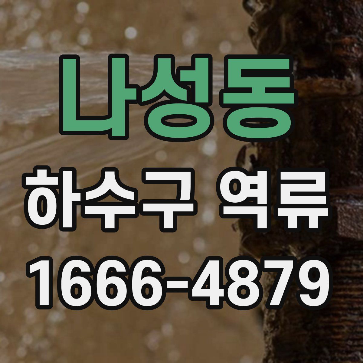 나성동 하수구 역류