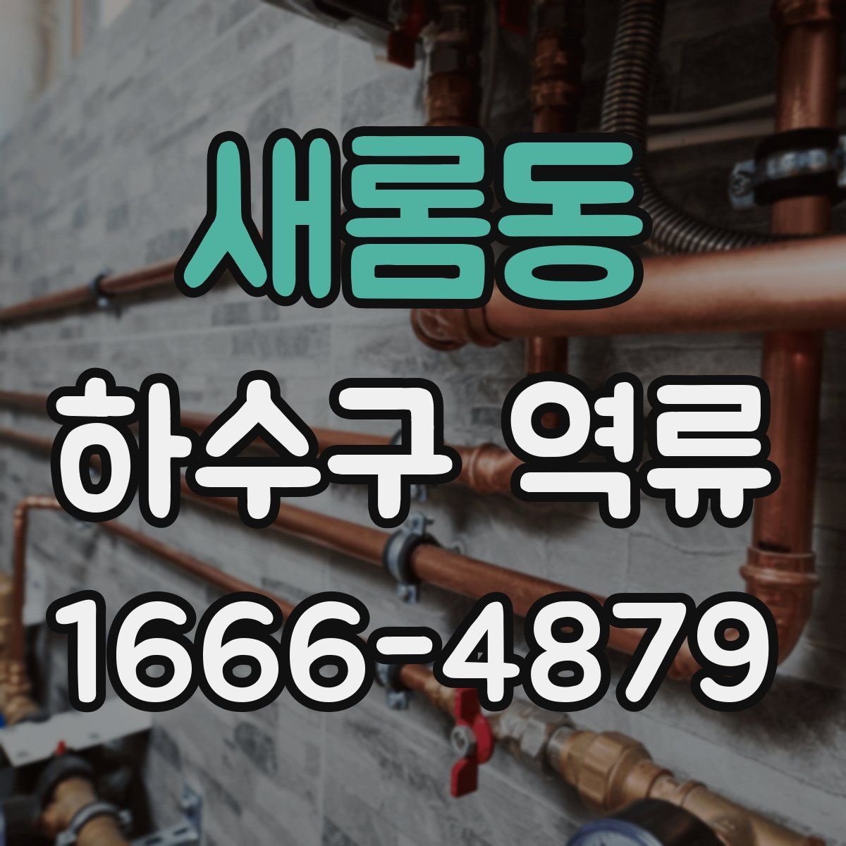 새롬동 하수구 역류