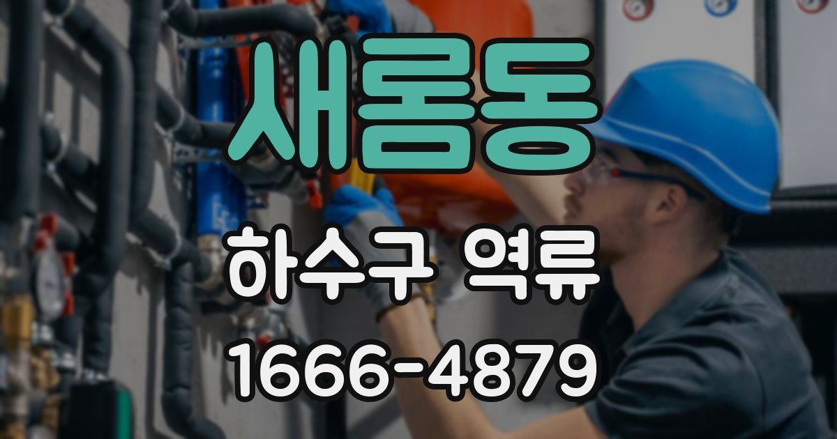 새롬동 하수구 역류