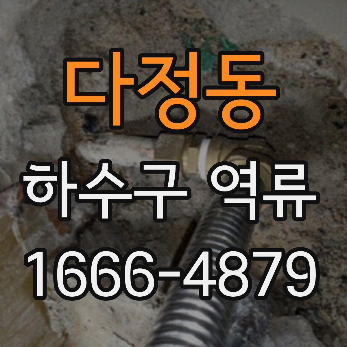 다정동 하수구 역류