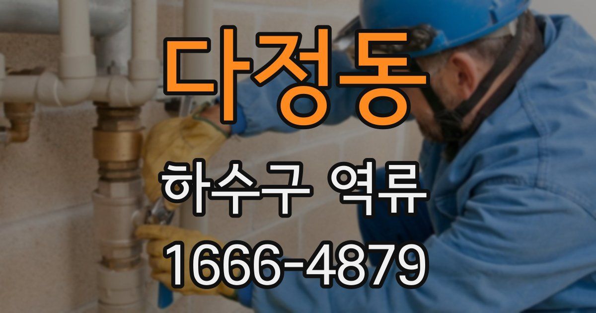 다정동 하수구 역류