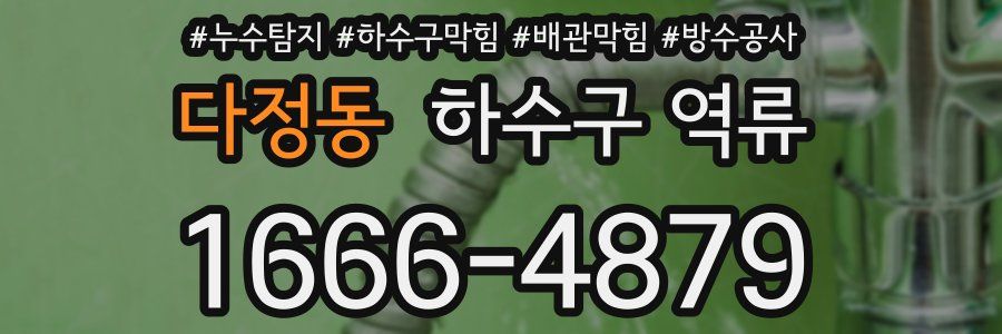 다정동 하수구 역류