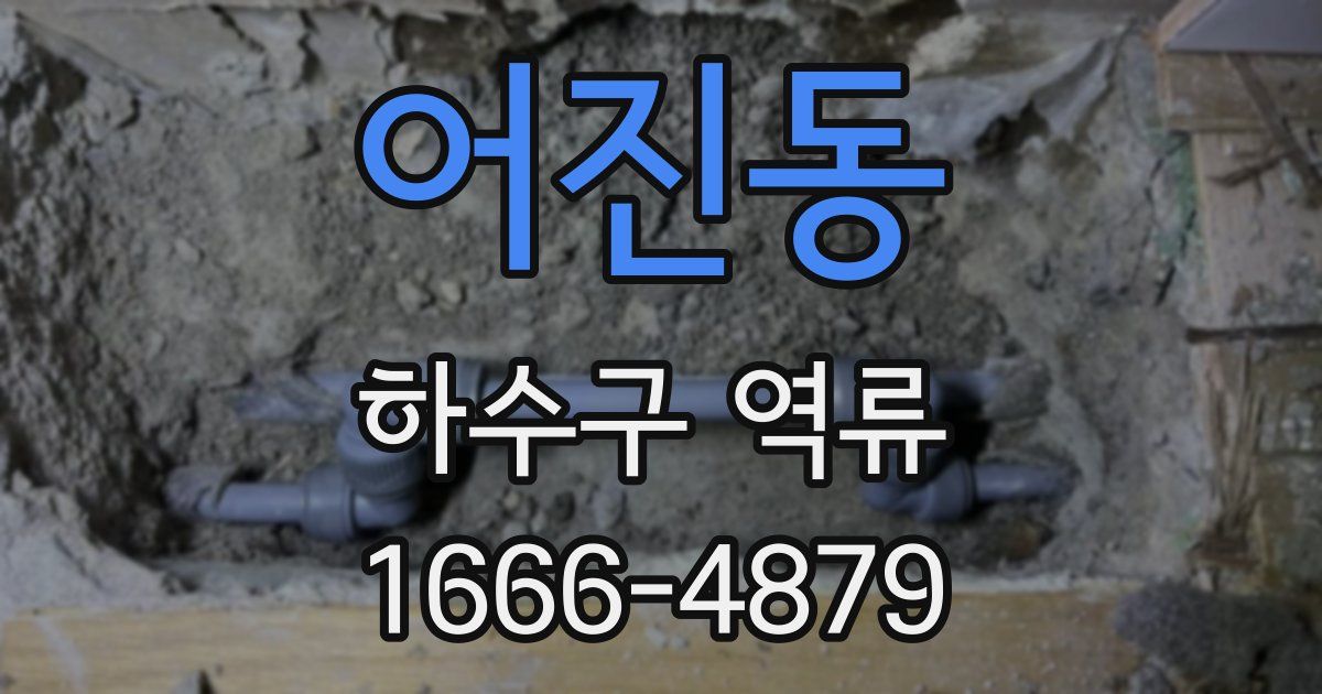 어진동 하수구 역류