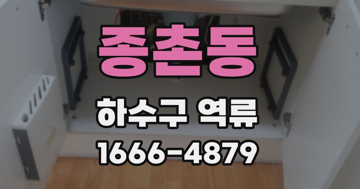 종촌동 하수구 역류