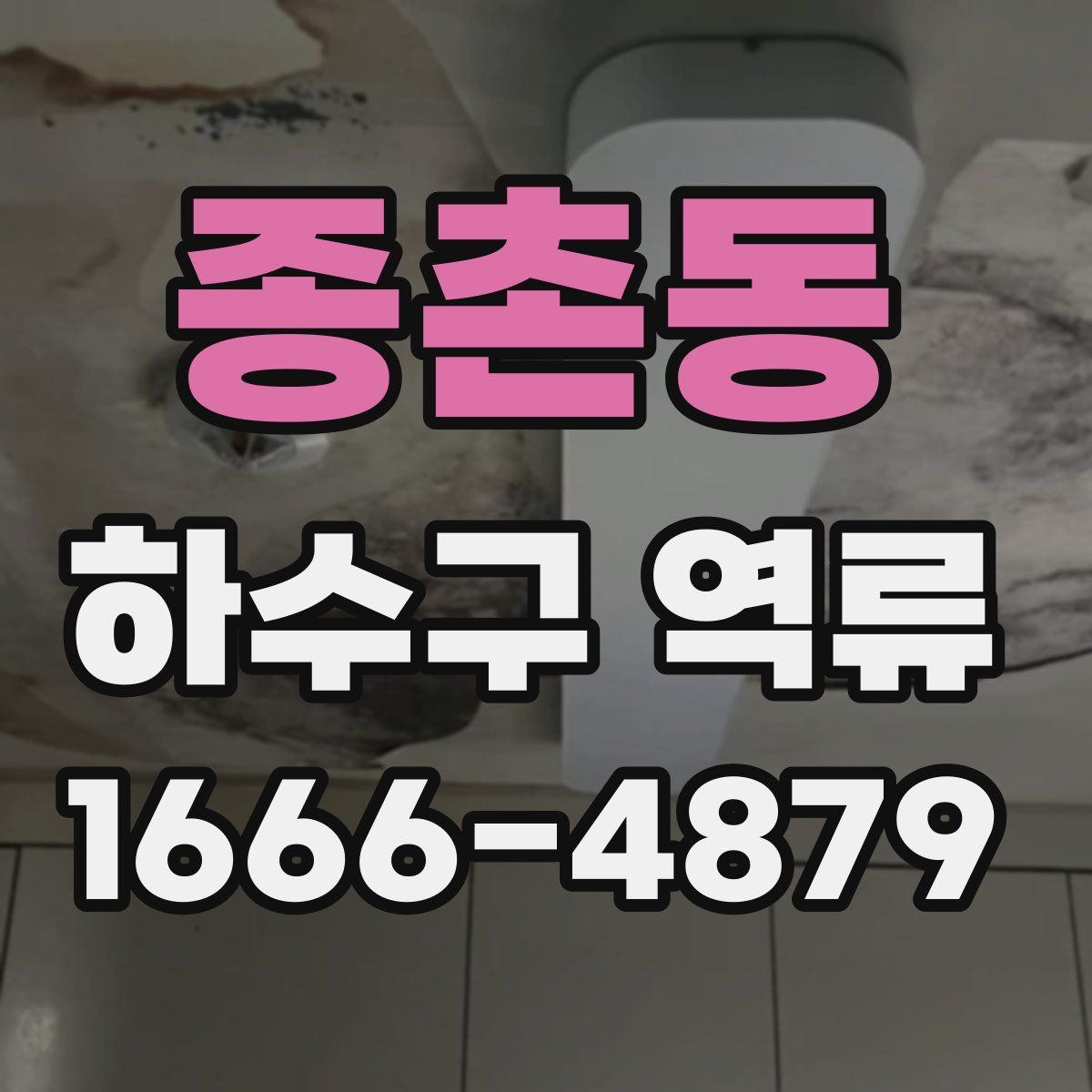 종촌동 하수구 역류
