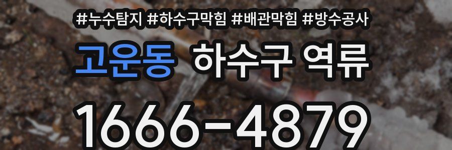 고운동 하수구 역류