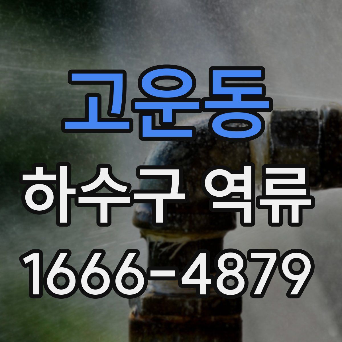 고운동 하수구 역류