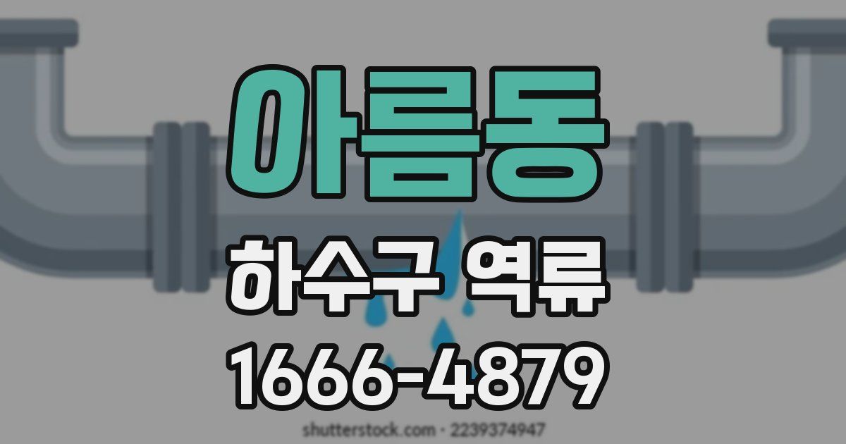 아름동 하수구 역류