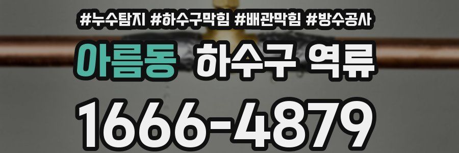 아름동 하수구 역류