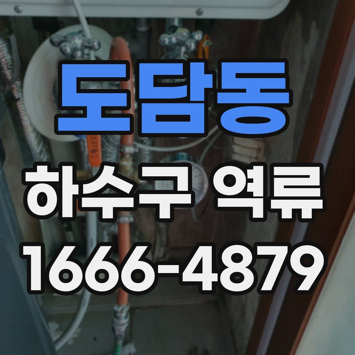 도담동 하수구 역류