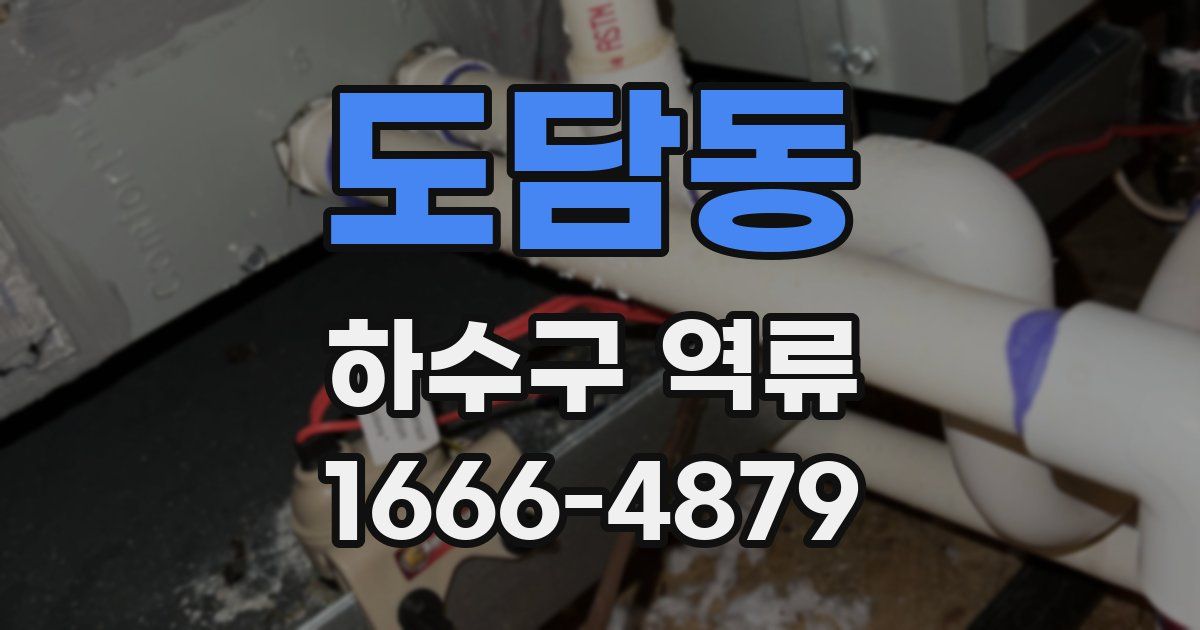 도담동 하수구 역류