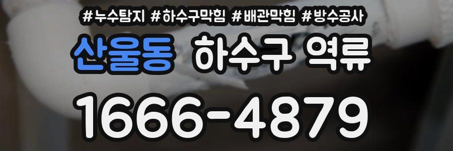 산울동 하수구 역류