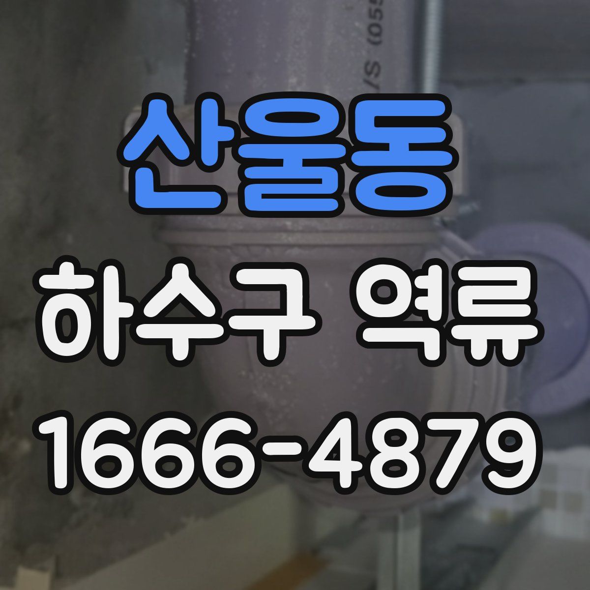 산울동 하수구 역류
